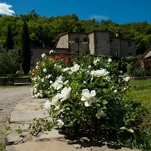Azienda Agricola Il Pozzo Capolona